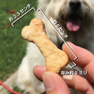 クッキーサイズ