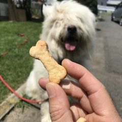犬用チーズおからクッキー  