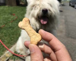 ペット関連グッズ