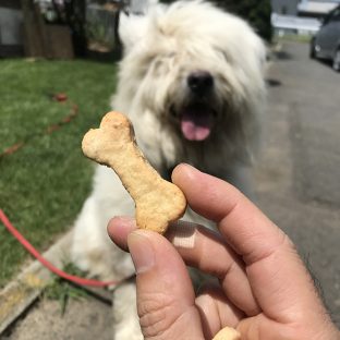 犬用チーズおからクッキー  