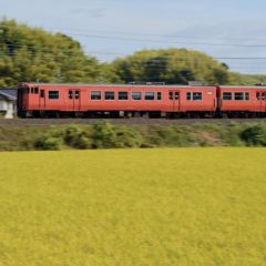 鉄道好きは、乗り鉄、撮り鉄。では自転車好きは…？