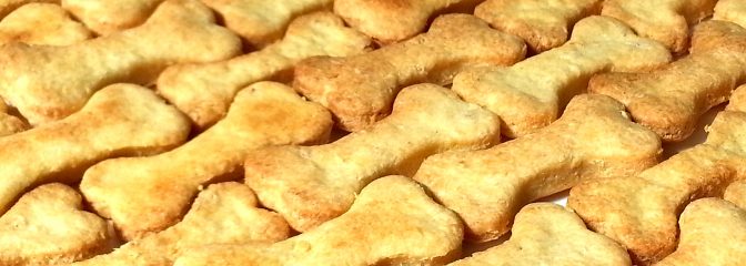 犬用チーズおからクッキー