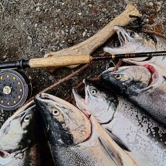 「時合」　～時に叶って美しい～