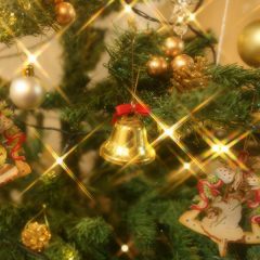 最高の「普通」