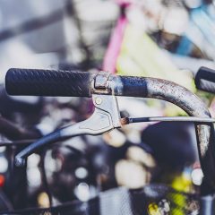 自転車が喜んでいる。