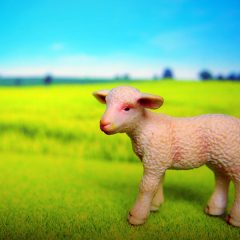 弱さを誇る⁉　第2コリント12:9‐10