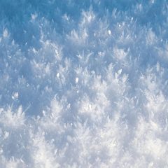 神様はデザイナー