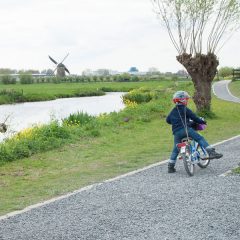 チャレンジ！～マザーテレサの言葉に学ぶ、挑戦と励ましの力～