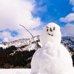 冬に過した時間：思い出の一コマ　かまくら・カンダハ・雪スケート・ボブスレー・アルペンボード