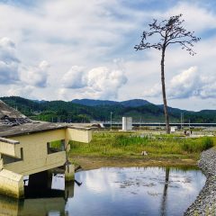 東日本大震災から10年、今思うこと。