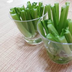 我が家の白文鳥　～神様が養ってくれている～