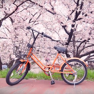 ホープ再生自転車販売 2021年シーズン 店舗オープンと特別応援企画