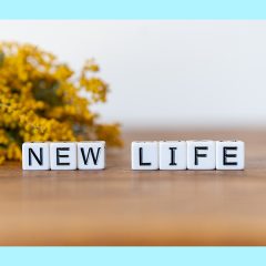 春の思い出　傷つくことを恐れずに　障がい者就労支援事業所ホープ