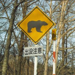 絶体絶命！　困った時の神頼み・・・全知全能の神！熊出没注意？