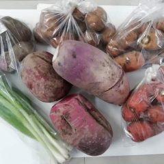 ホープ食堂の看板メニュー・有機栽培（有機農業）の野菜たち