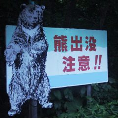 クマ出没注意！～人里離れた山奥で神の存在を感じる