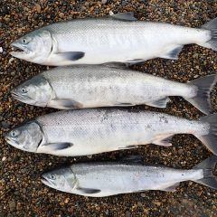 お気に入りの場所：鮭釣り、温泉、道東、知床、バイク旅、自転車旅、テント泊