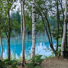 北海道の大自然を求めて