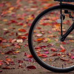 秋の自転車
