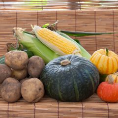 北海道、秋の味覚、カボチャ、じゃがいも、いももち