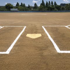 シリーズ「スポーツ観戦」その２：野球、アニメ、好き、苦手