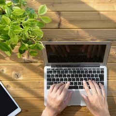 祝・ホープ工房スタッフブログ一周年！！