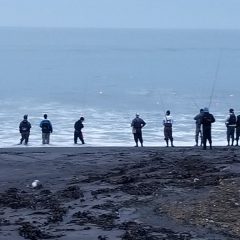 最近の地球事情と私の事情：鮭釣り、地球環境変化、動物の事情、人間の勝手な事情　　