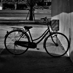 不用自転車の引き取り：たい焼き、再生自転車、大家族