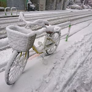 冬の自転車