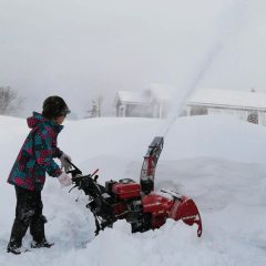 除雪していますか？
