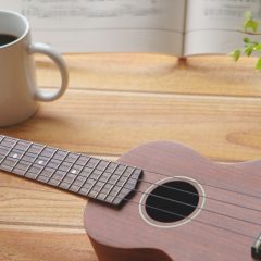 ウクレレ：Famous Ovation KALA Ortega