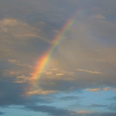 奇跡―Miracle：賛美