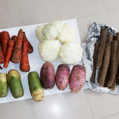 支援には支援の輪３：大雪、雪害、佐々木ファーム、lalalafarm、ホープ食堂