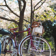 ゴールデンウィーク：自転車トラベラー、モーターサイクルトラベラー、奥尻島旅行