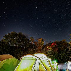 夏ですね～！？