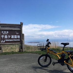 天売島