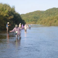自然の力・脅威：増水、濁流、レスキュー、恐怖感、地球規模単位の気象異常