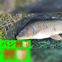 パン鯉：食パン、鯉釣り、釣り堀、お菓子に交換、スクリーンタープ、おにぎり