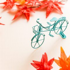 ホープ再生自転車販売店　秋ですね