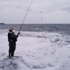 パーソナルスぺース：母川回帰、繁殖行動、威嚇行動、お気に入りの空間、釣り部屋