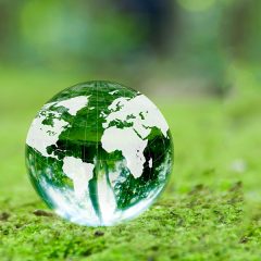 真の社会貢献とは何か・その２：単身世帯、エネルギー問題、一人より二人