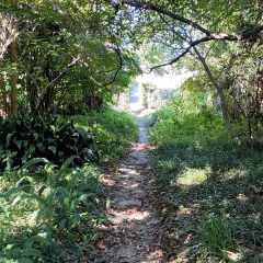 主は道を日々造られる