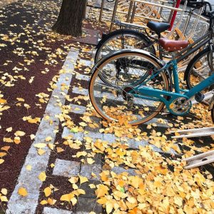 自転車と落ち葉