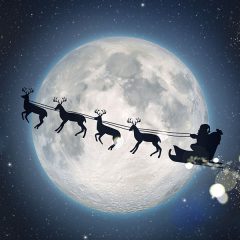 Merry Christmas！＼(^o^)／