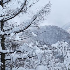 ここ北海道は冬真っ盛り!(^^)!