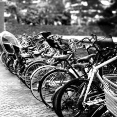 ホープ再生自転車販売：もう一つの楽しみ方