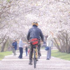 自転車の虫ゴム