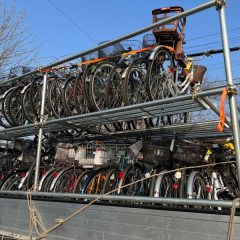 自転車の大移動！