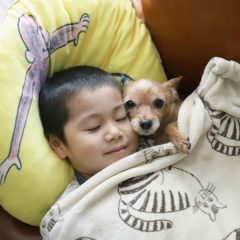 犬と子供