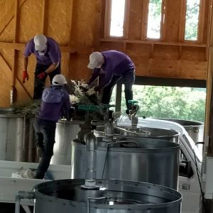 ラベンダーオイル